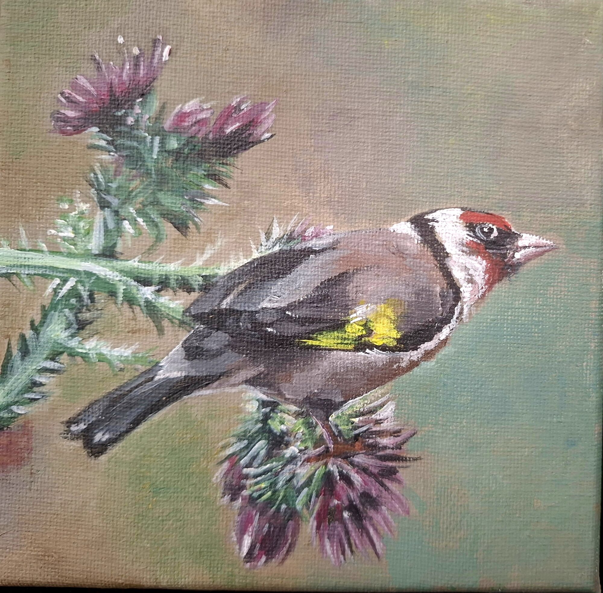 acrylic painting of european goldfinch bird, soft colors