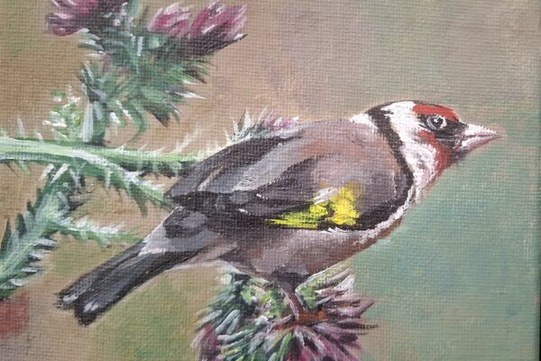 acrylic painting of european goldfinch bird, soft colors
