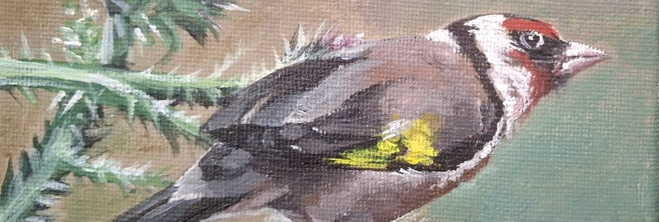 acrylic painting of european goldfinch bird, soft colors