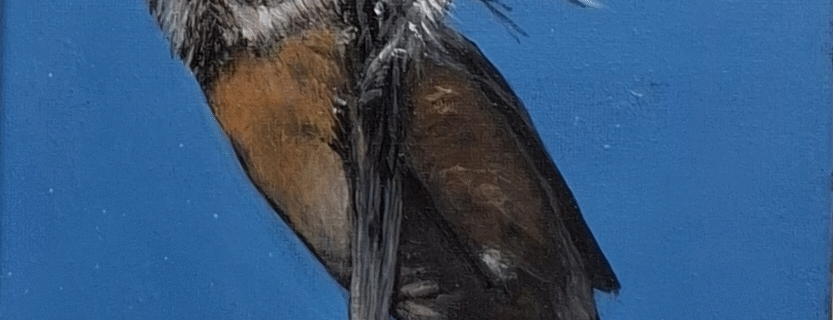 bird painting