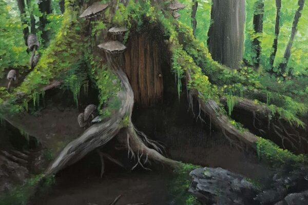 painting of a forest faeries residence