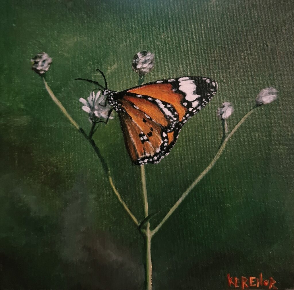 painting of plain tiger butterfly