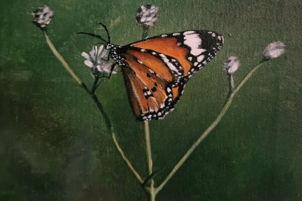 painting of plain tiger butterfly