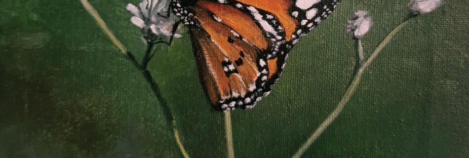 painting of plain tiger butterfly